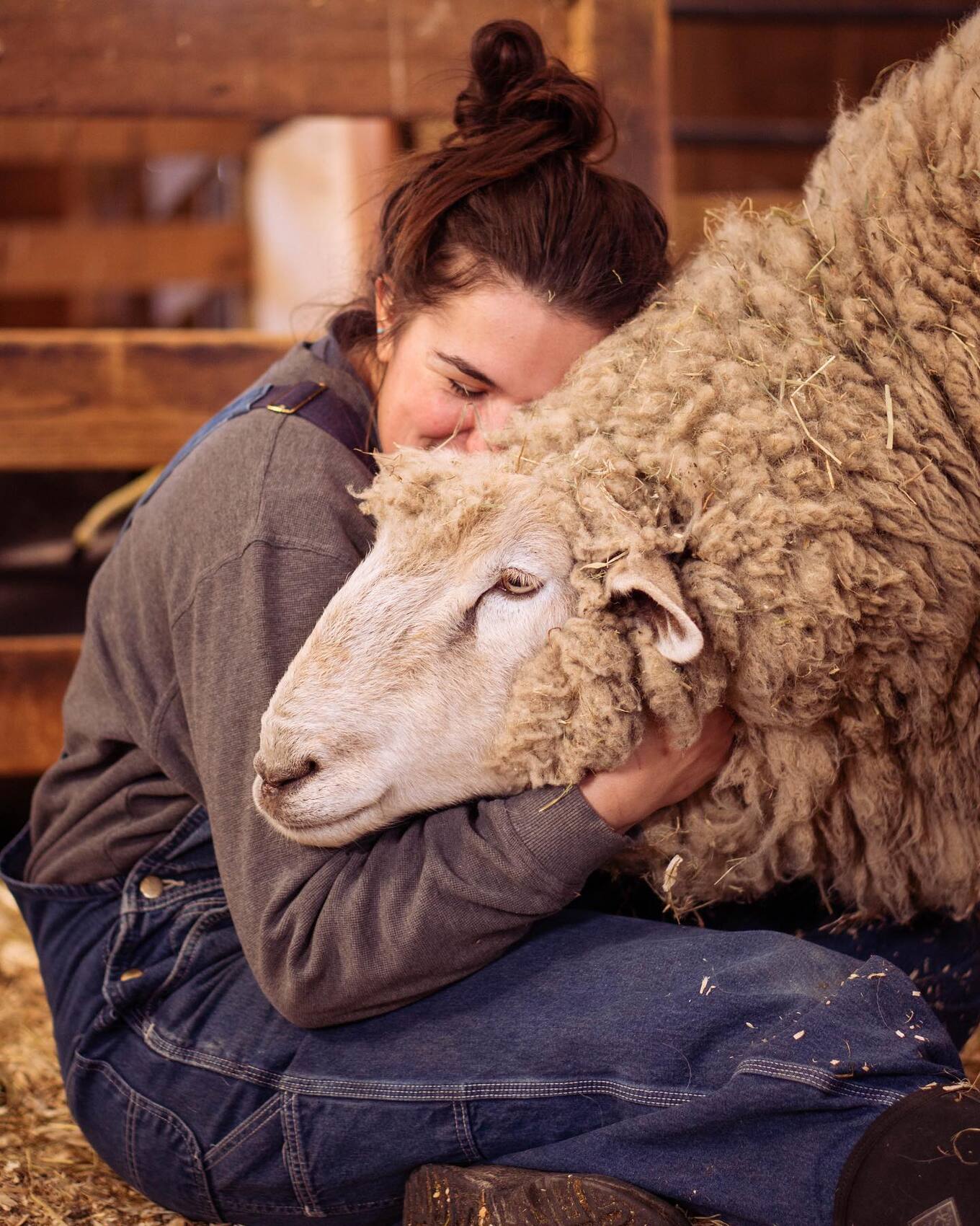 VegNews.SheepHug.WoodstockFarmSanctuary